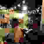 sam9