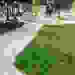ska3
