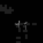 vin1