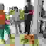 AN2