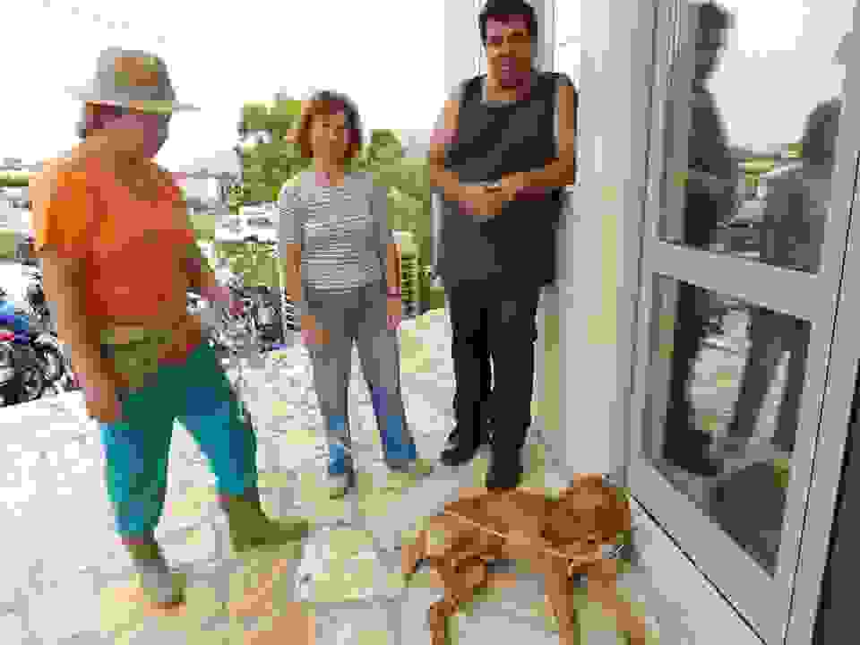AN2