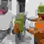 AN