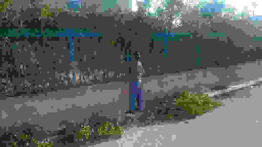alex1