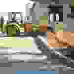 alex1