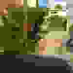 alex1