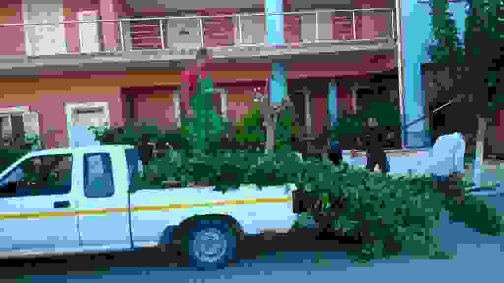 alex1