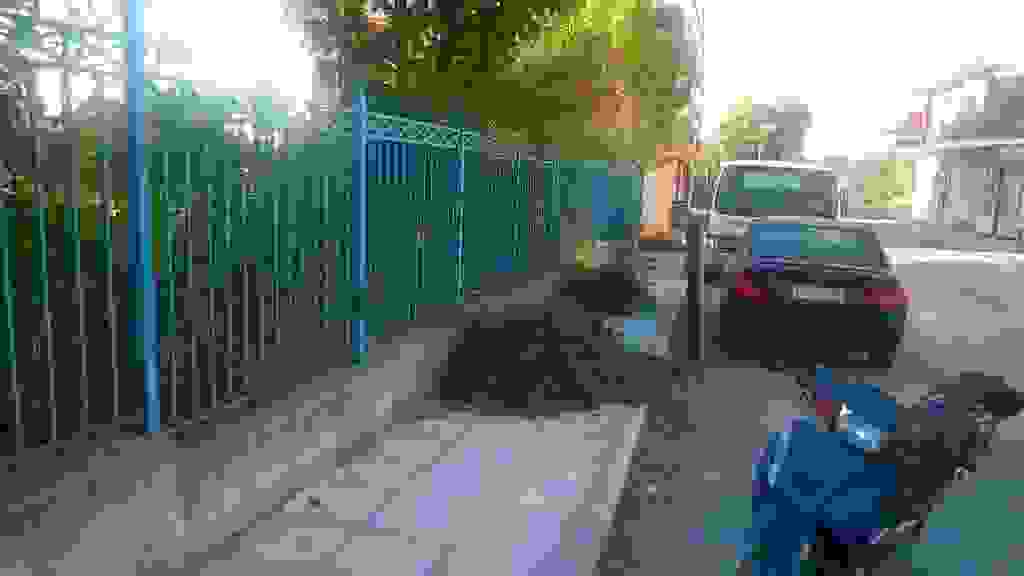 alex2