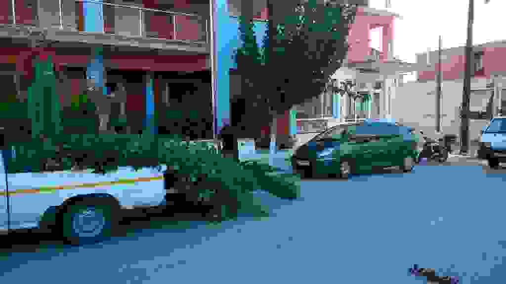 alex2