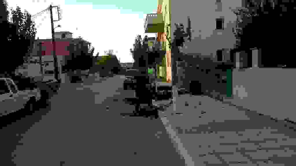 alex4