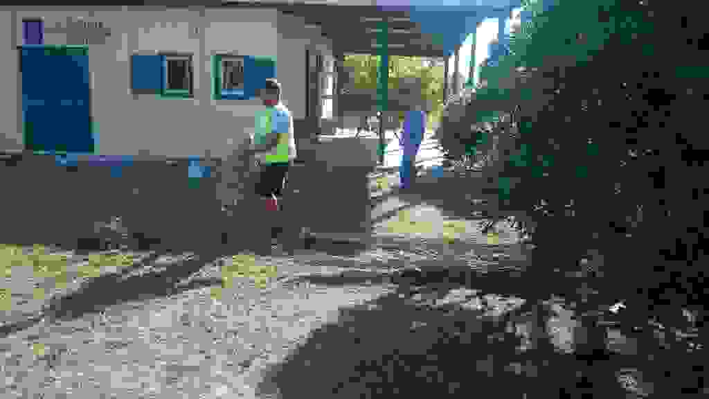 alex5
