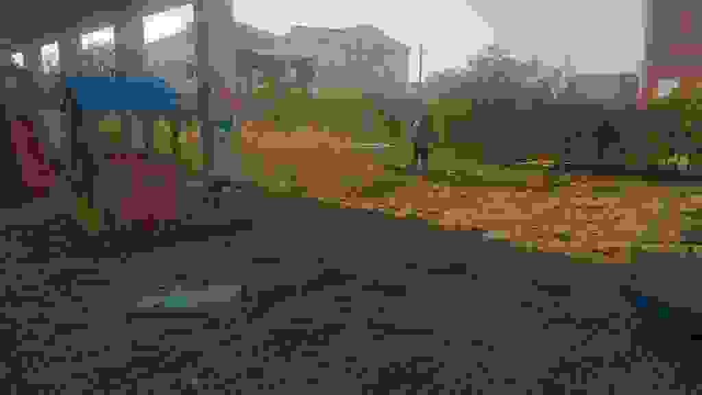 alex6