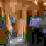 alex6
