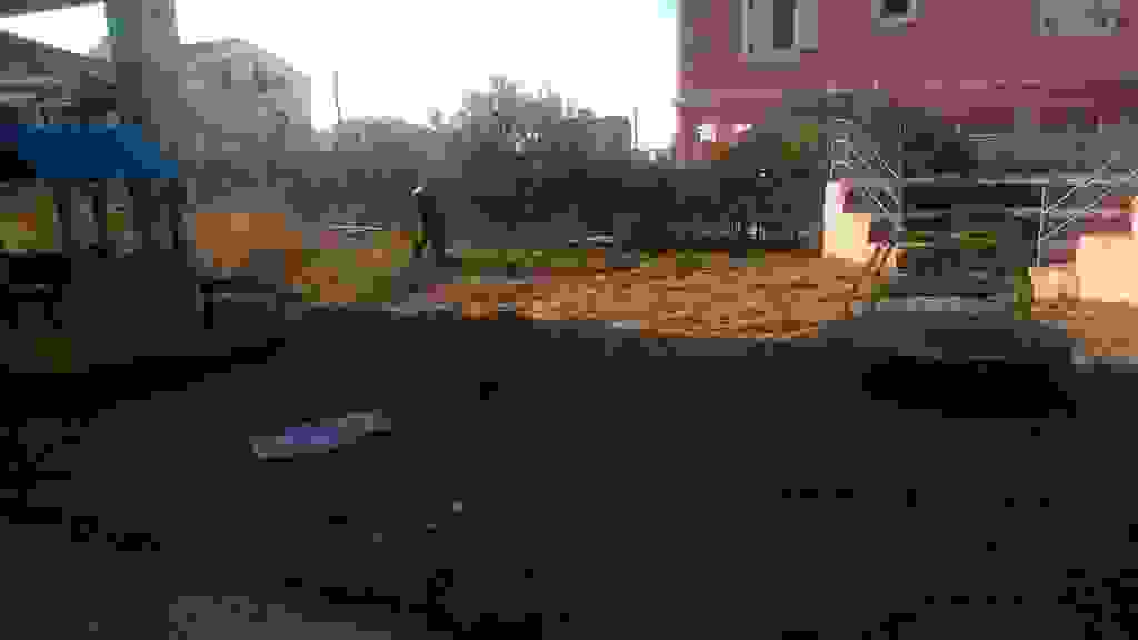 alex7