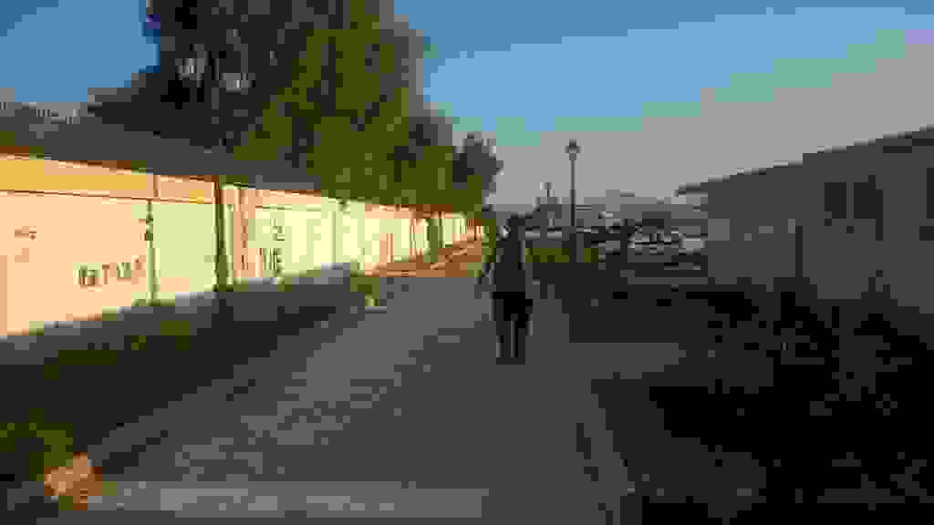 alex7