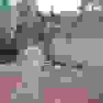 an14