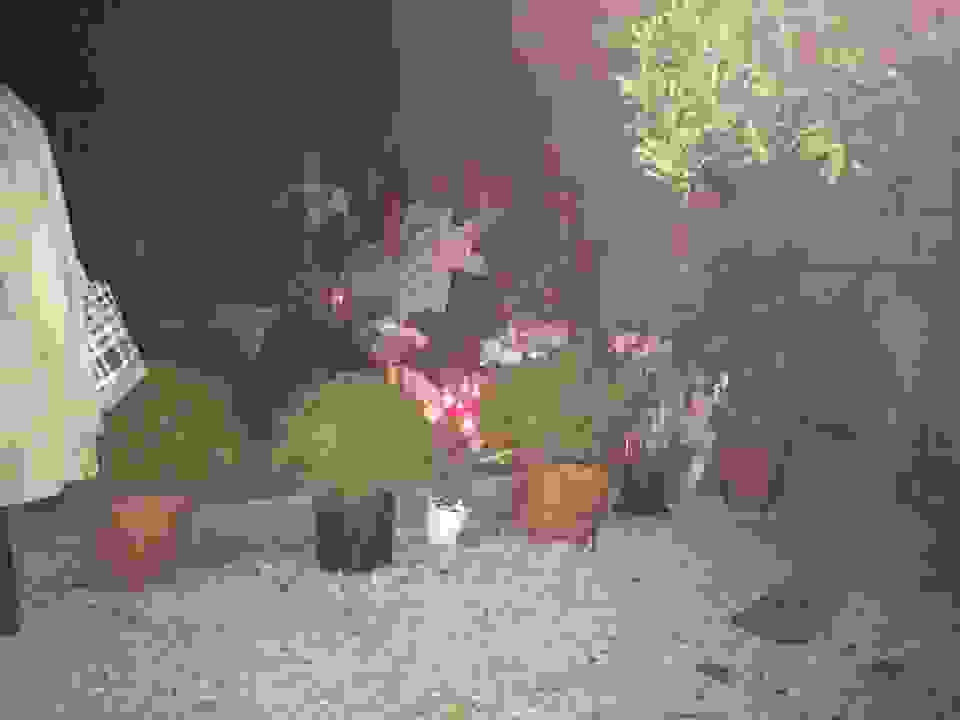 an