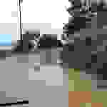 an19