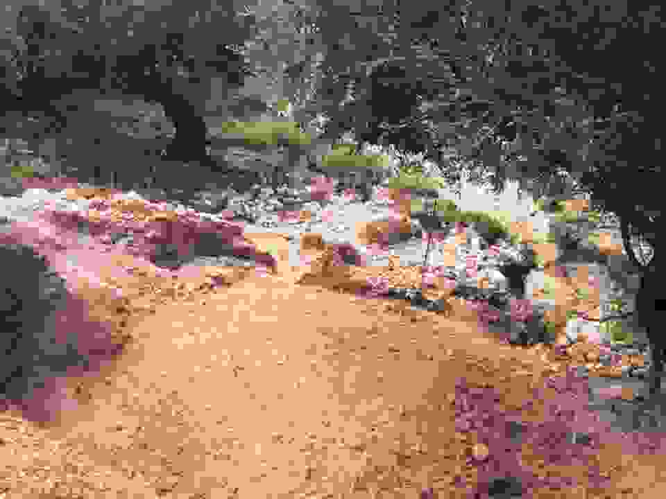 an20