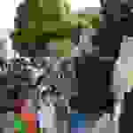 an2