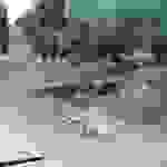an