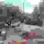 an28