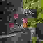 an