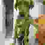 an3