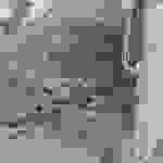 an3