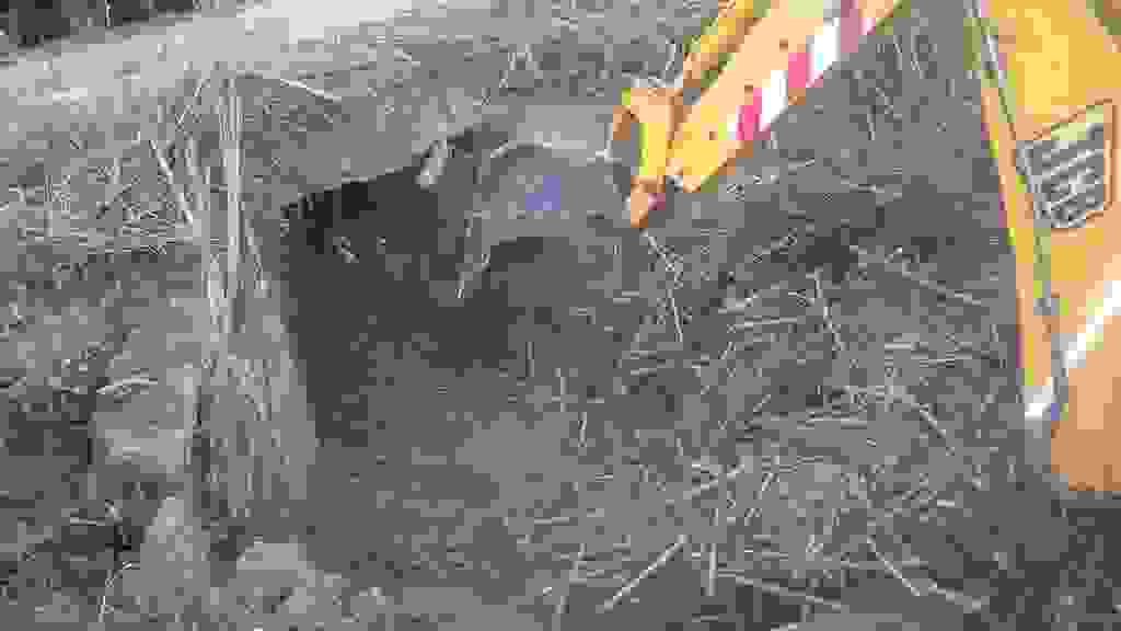 an5