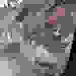 an5