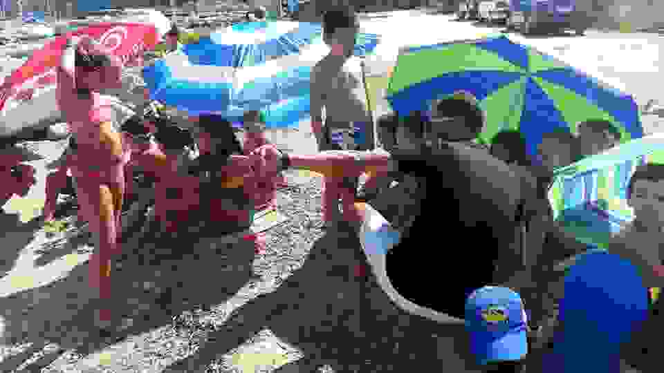 an6