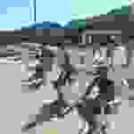 an7