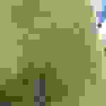 an7