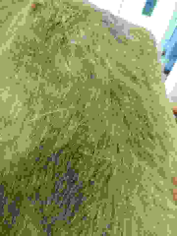 an7