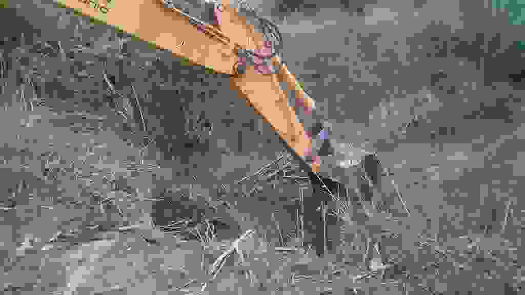 an7