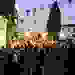 jer2