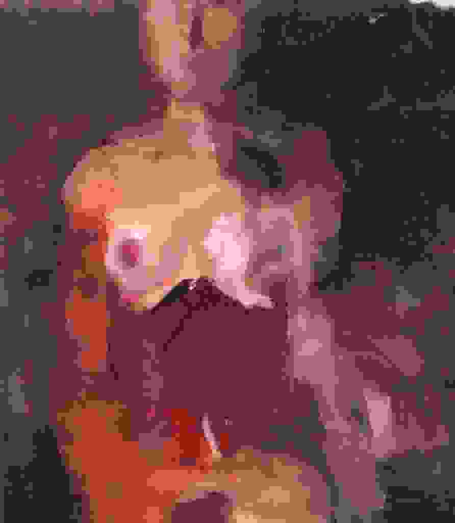 jer6