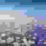 jer8