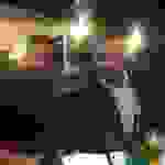 sam3
