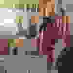 an1