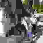 an13