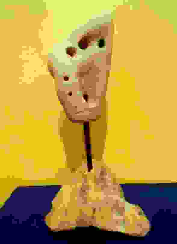 an2