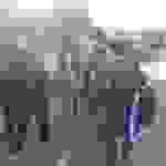 an7