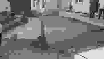 AN1