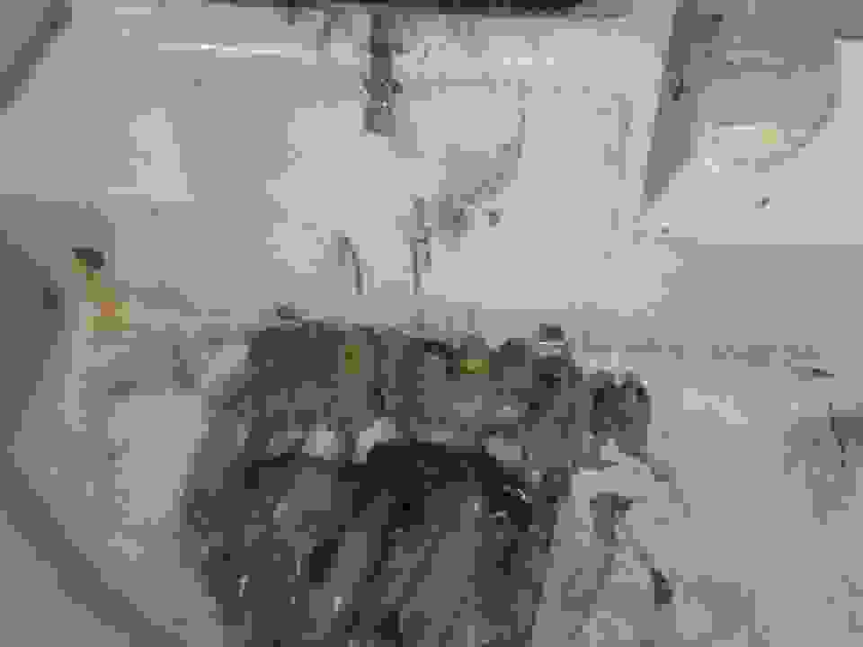 AN1