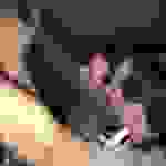 an1