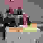 an1