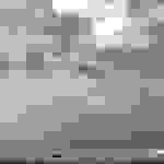 an2