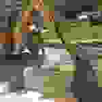 an2