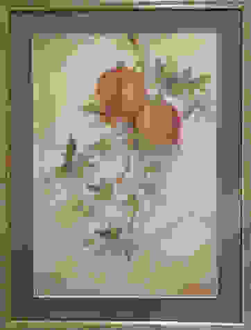 an5